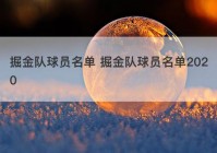 掘金队球员名单 掘金队球员名单2020