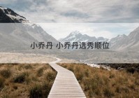 小乔丹 小乔丹选秀顺位