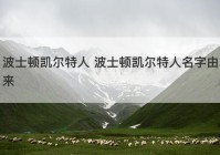 波士顿凯尔特人 波士顿凯尔特人名字由来