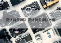 夏洛特黄蜂队 夏洛特黄蜂队市值