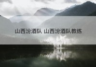 山西汾酒队 山西汾酒队教练