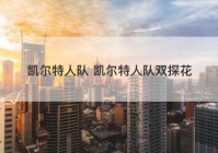 凯尔特人队 凯尔特人队双探花