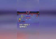 乒乓球世乒赛：作为一队主力参加团体和男双比赛