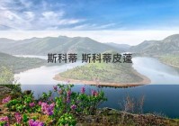 斯科蒂 斯科蒂皮蓬