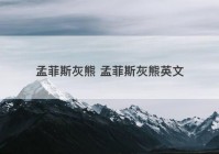 孟菲斯灰熊 孟菲斯灰熊英文