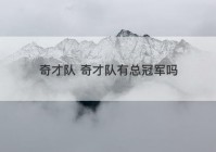 奇才队 奇才队有总冠军吗