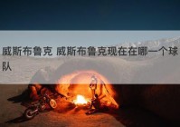 威斯布鲁克 威斯布鲁克现在在哪一个球队