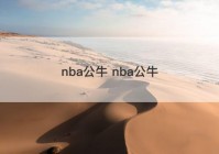 nba公牛 nba公牛
