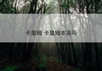 卡里姆 卡里姆本泽马