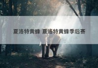 夏洛特黄蜂 夏洛特黄蜂季后赛