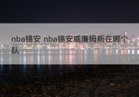 nba锡安 nba锡安威廉姆斯在哪个队