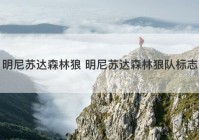 明尼苏达森林狼 明尼苏达森林狼队标志