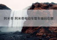 阿米奇 阿米奇电动车整车编码在哪
