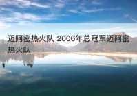 迈阿密热火队 2006年总冠军迈阿密热火队