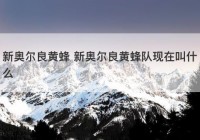 新奥尔良黄蜂 新奥尔良黄蜂队现在叫什么