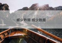 威少数据 威少数据