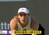 佩特科维奇，不知道自己什么时候应该会打得更好