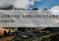 达拉斯小牛队 达拉斯小牛队为什么现在叫独行侠