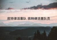 底特律活塞队 底特律活塞队员