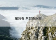 东契奇 东契奇身高