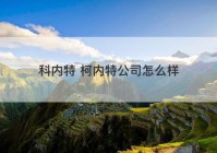 科内特 柯内特公司怎么样