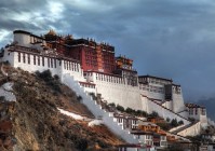 佩罗塔的主要艺术贡献体现在哪种音乐形式上