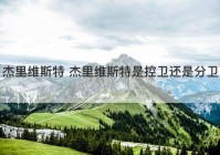 杰里维斯特 杰里维斯特是控卫还是分卫