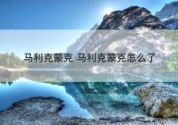 马利克蒙克 马利克蒙克怎么了