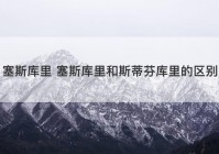 塞斯库里 塞斯库里和斯蒂芬库里的区别