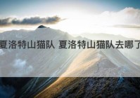 夏洛特山猫队 夏洛特山猫队去哪了