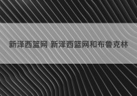 新泽西篮网 新泽西篮网和布鲁克林