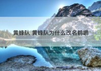 黄蜂队 黄蜂队为什么改名鹈鹕