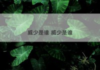 威少是谁 威少是谁