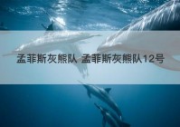 孟菲斯灰熊队 孟菲斯灰熊队12号