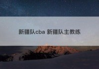 新疆队cba 新疆队主教练
