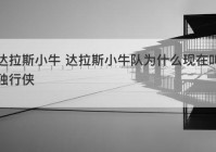 达拉斯小牛 达拉斯小牛队为什么现在叫独行侠
