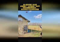 科比有几个女儿_他们普遍缺少对外界的尊重，和队里的小伙子们在一起了