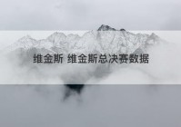 维金斯 维金斯总决赛数据