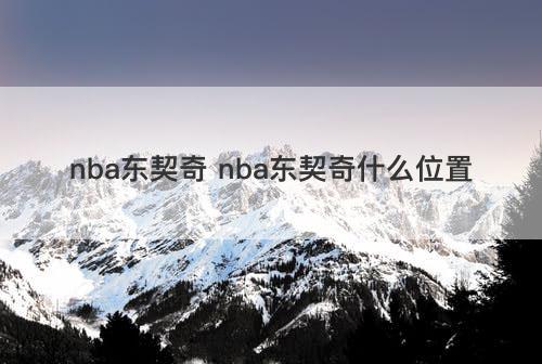 nba东契奇 nba东契奇什么位置