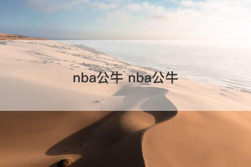 nba公牛 nba公牛