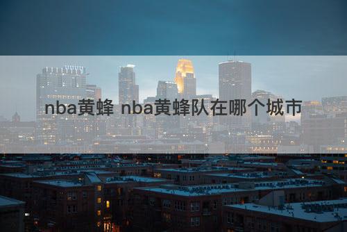 nba黄蜂 nba黄蜂队在哪个城市