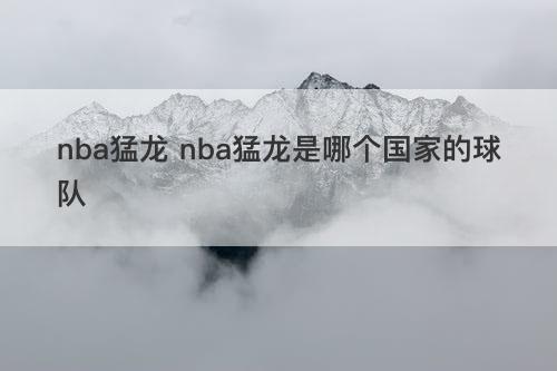 nba猛龙 nba猛龙是哪个国家的球队