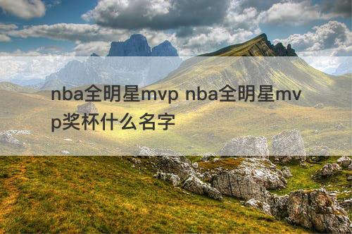 nba全明星mvp nba全明星mvp奖杯什么名字