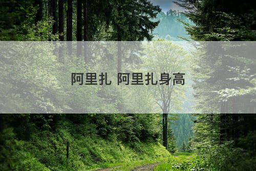 阿里扎 阿里扎身高