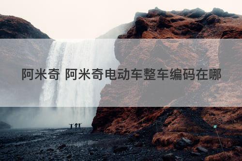 阿米奇 阿米奇电动车整车编码在哪