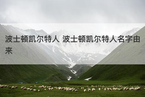 波士顿凯尔特人 波士顿凯尔特人名字由来