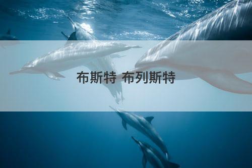 布斯特 布列斯特