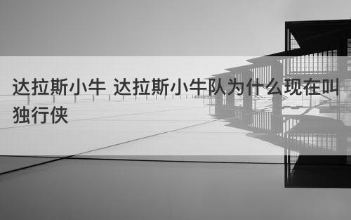 达拉斯小牛 达拉斯小牛队为什么现在叫独行侠