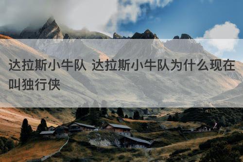 达拉斯小牛队 达拉斯小牛队为什么现在叫独行侠