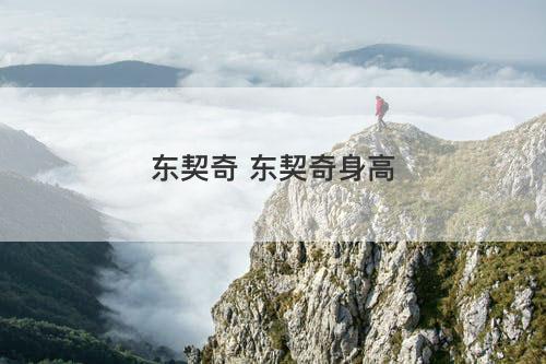 东契奇 东契奇身高